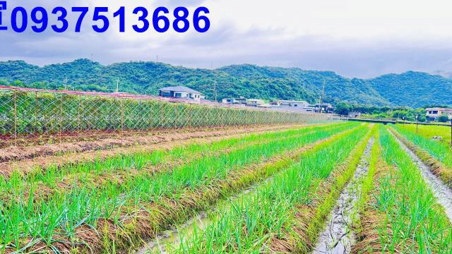 宜蘭縣三星鄉田心段農地出售