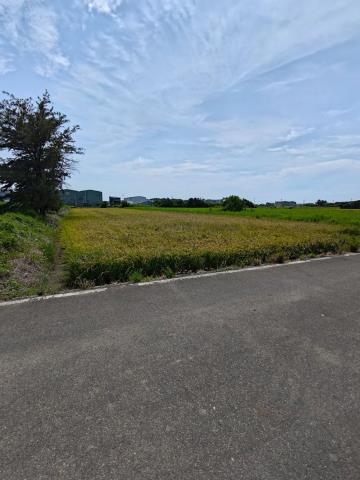 出售大園農地大園農地出售售大園農地大園農地售