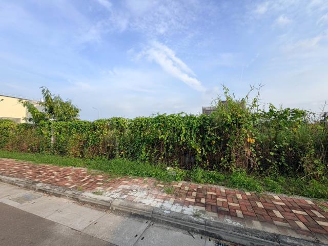麻豆千坪15米路乙工