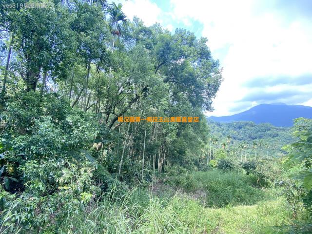集集農地-1