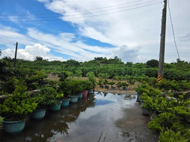 大樹區大樹新吉段農地