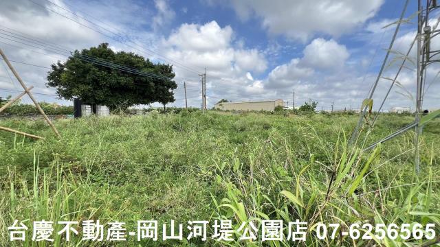 燕巢農地-1