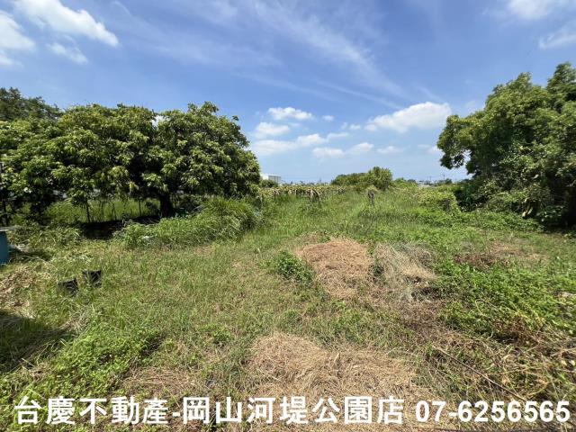 阿蓮近市中心