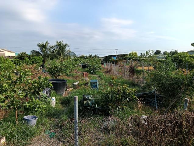 屏東和生市場漂亮農地