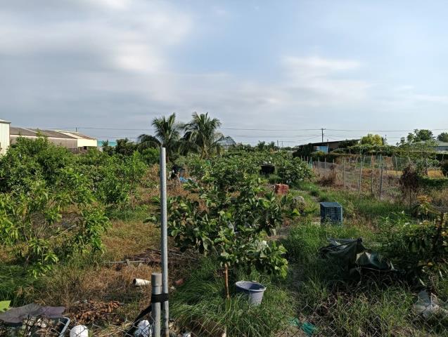 屏東農地-2