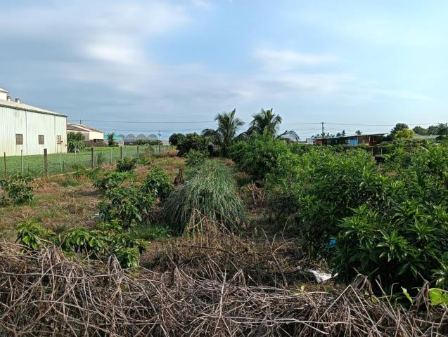 屏東農地-3