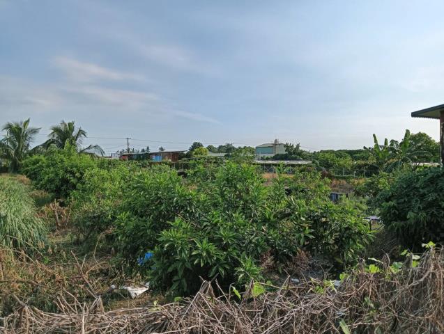 屏東農地-5