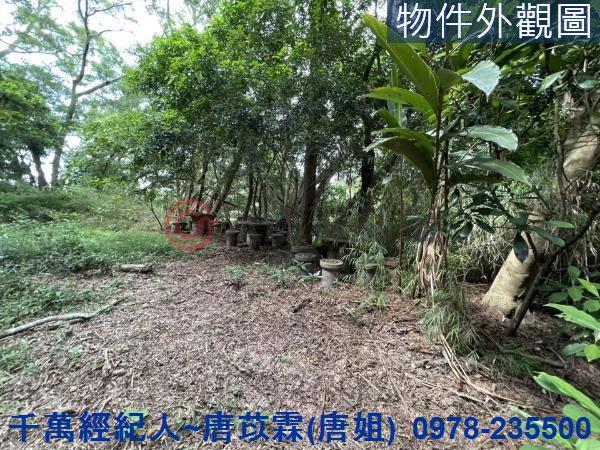 苗栗三灣農地-1