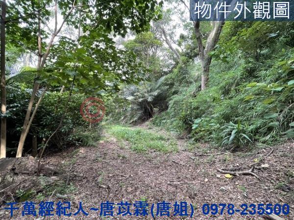 苗栗三灣農地-4