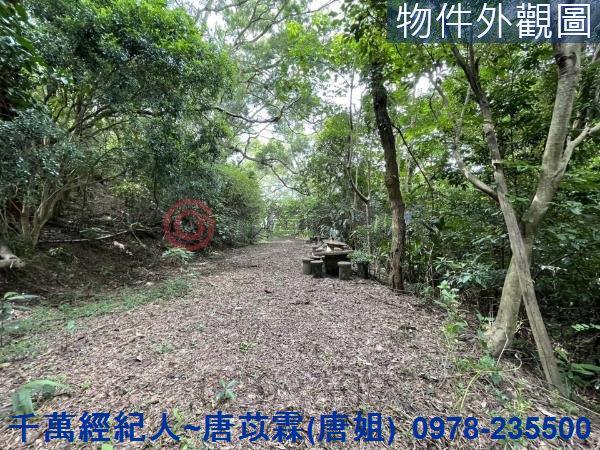 苗栗三灣農地-5