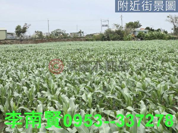 台南學甲農地-10