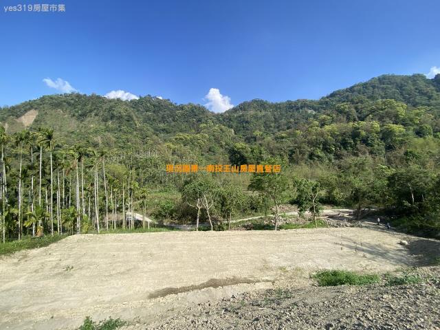 南投竹山農地-5