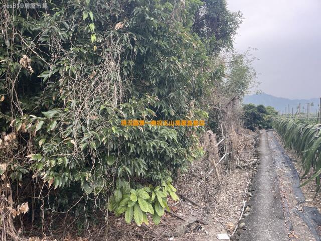 集集農地-2