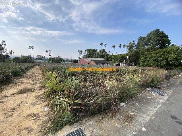 名間萬丹15米路農地634坪