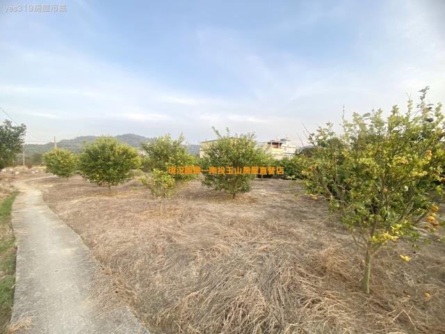 名間農地-3