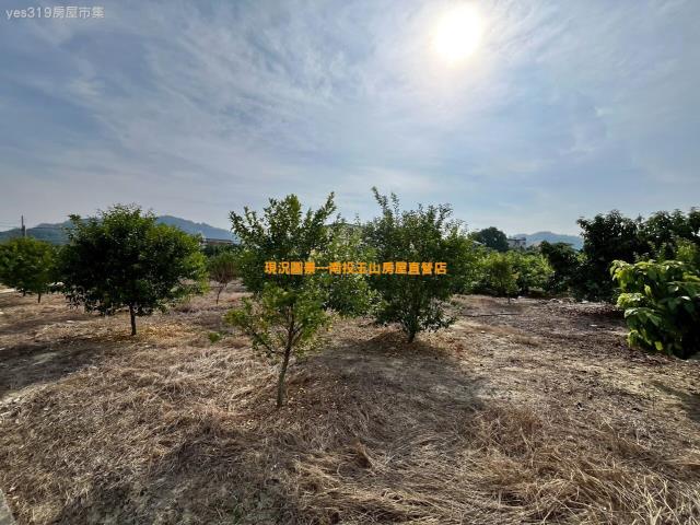 名間農地-4
