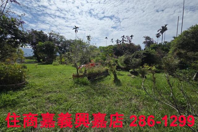 番路農地-12