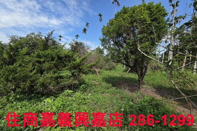 番路農地-13