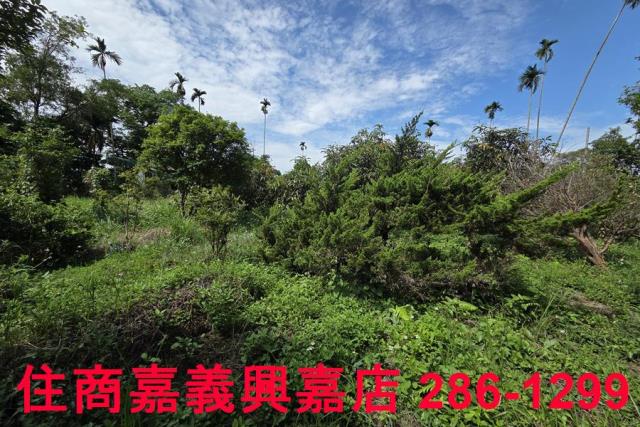 番路農地-14