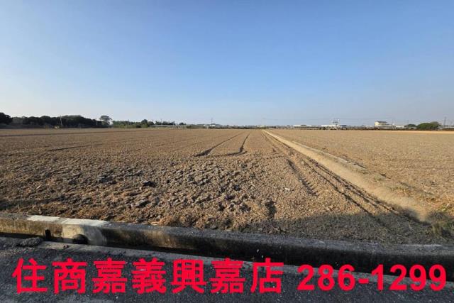 大林農地-9