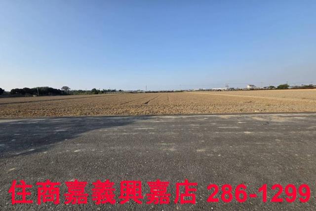 大林農地-11