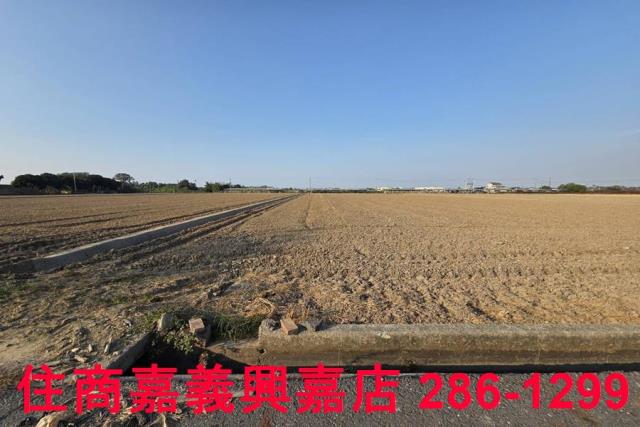 大林農地-12