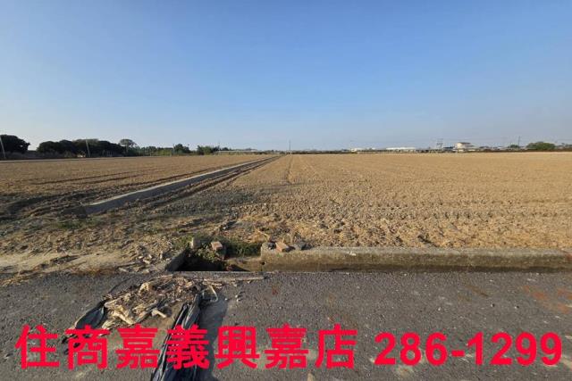 大林農地-13