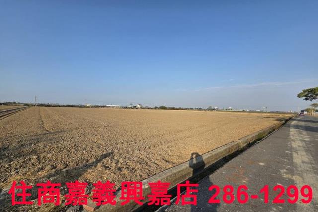 大林農地-14