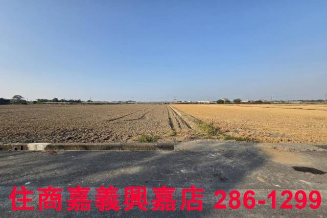 大農地