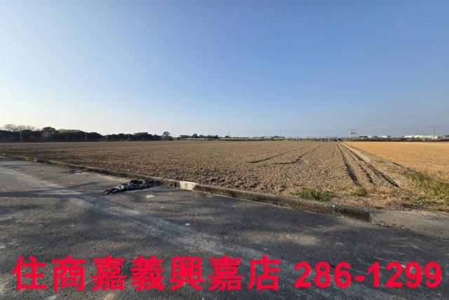大林農地-1