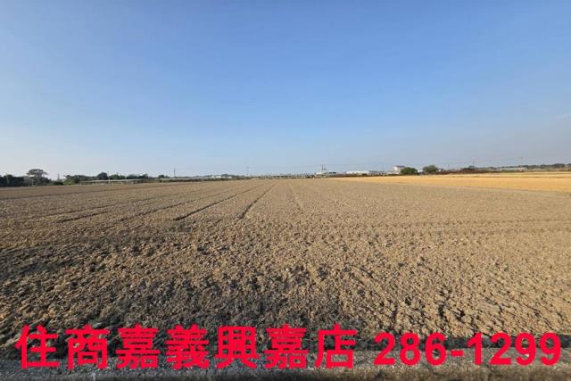 大林農地-4