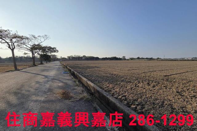 大林農地-5