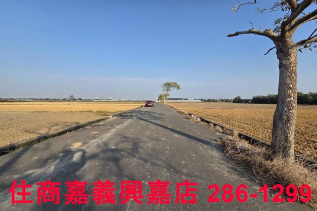 大林農地-7