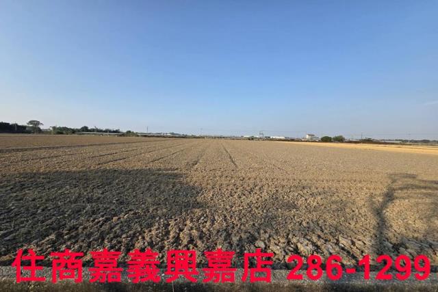 大林農地-8
