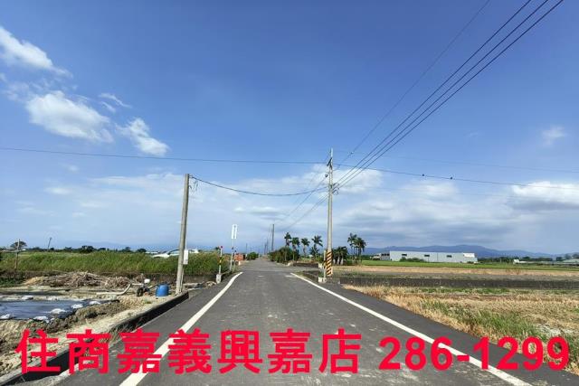 水上農地-9