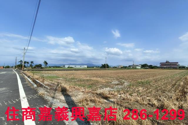 水上農地-12