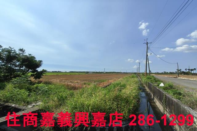 水上農地-1