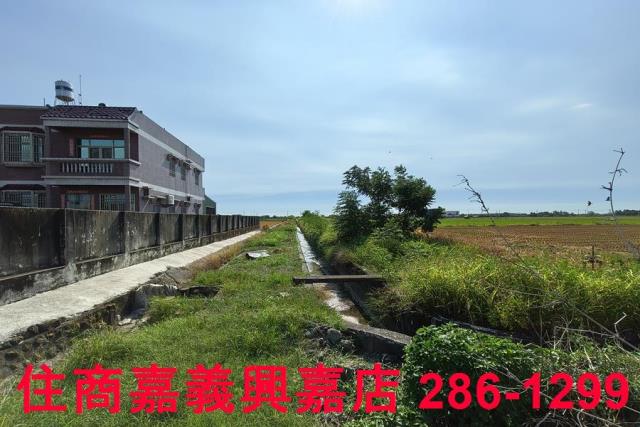 水上農地-2