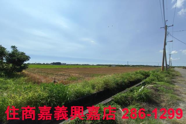 水上農地-3