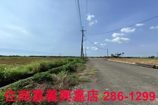 水上農地-4