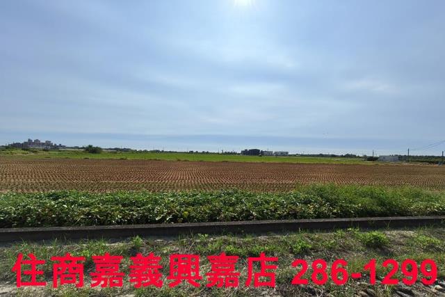 水上農地-5