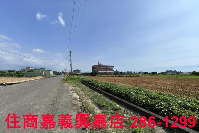 水上農地-6