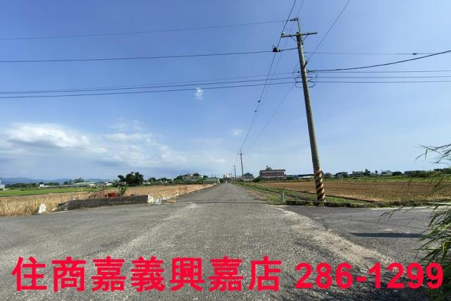 水上農地-7
