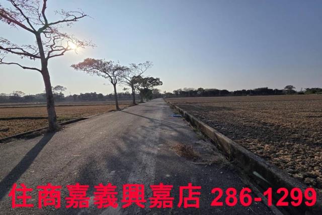 大林農地-9