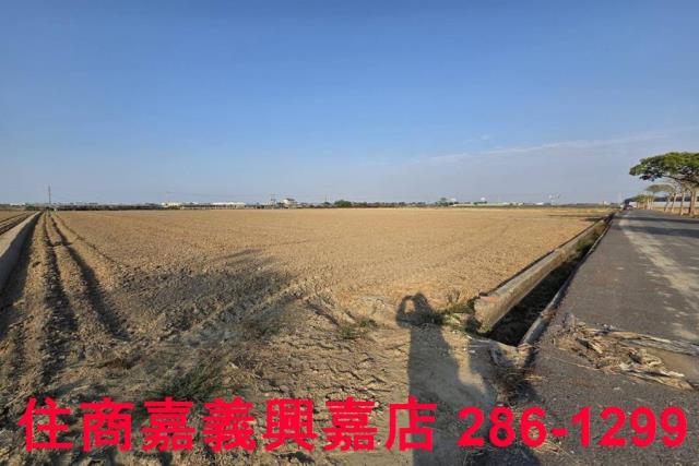 大林農地-10