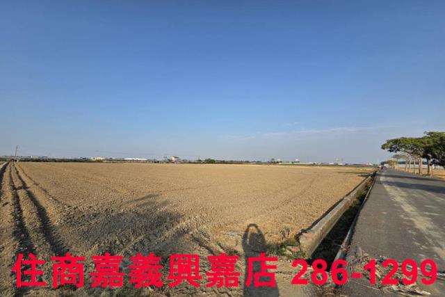 大林農地-1