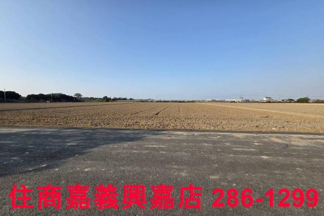 大林農地-3