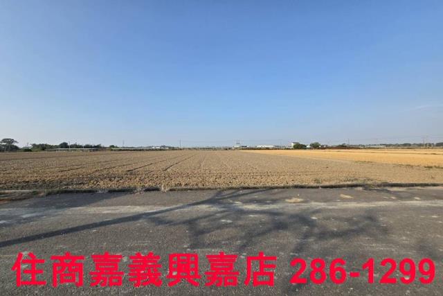 大林農地-5