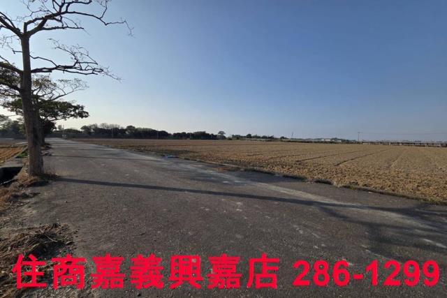 大林農地-6