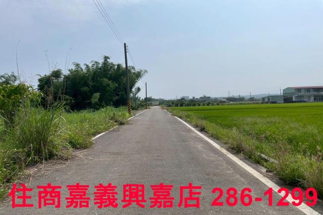 台南農地-1